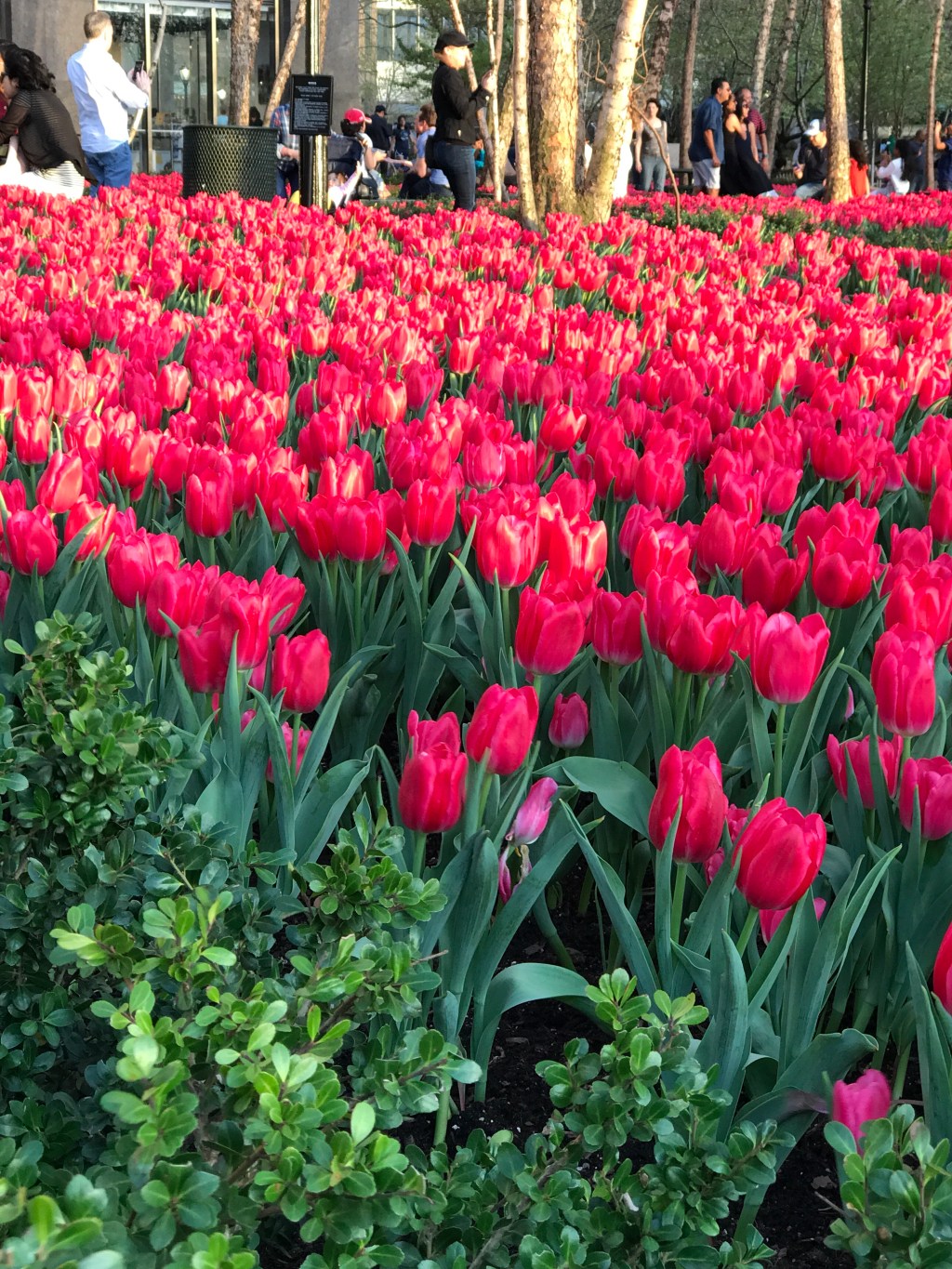 Valentine’s Day and&nbsp;Lent