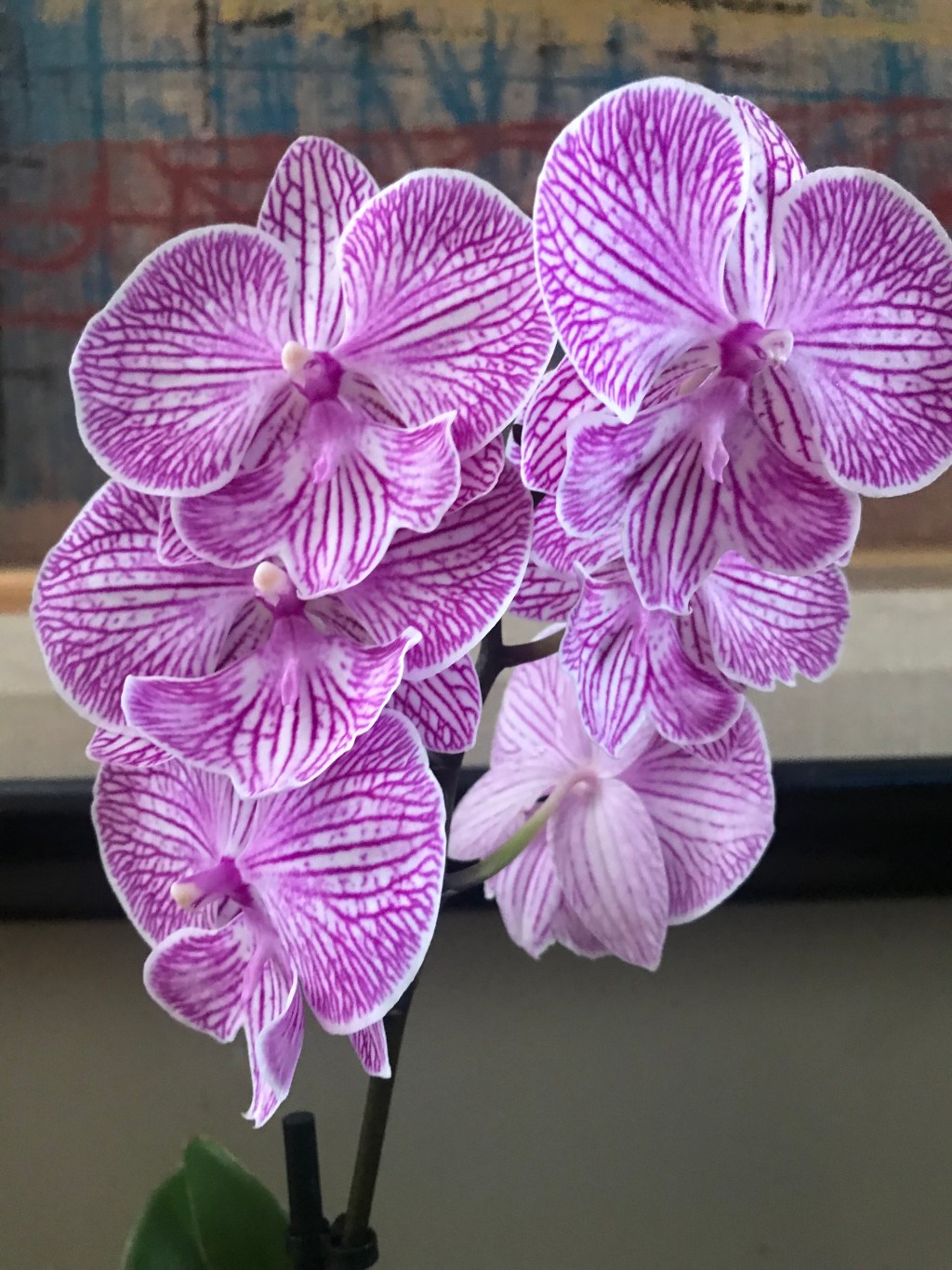 Frugal Friday Spring Cleaning